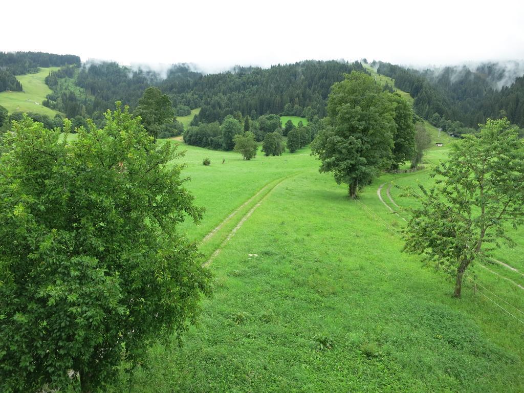 Ferienwohnungen Marchanger Niederau Room photo